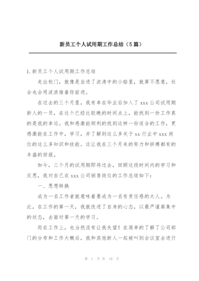 新员工个人试用期工作总结（5篇）.docx