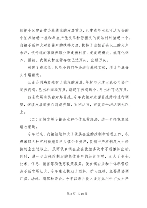 年度乡镇工作总结及年工作计划 (3).docx