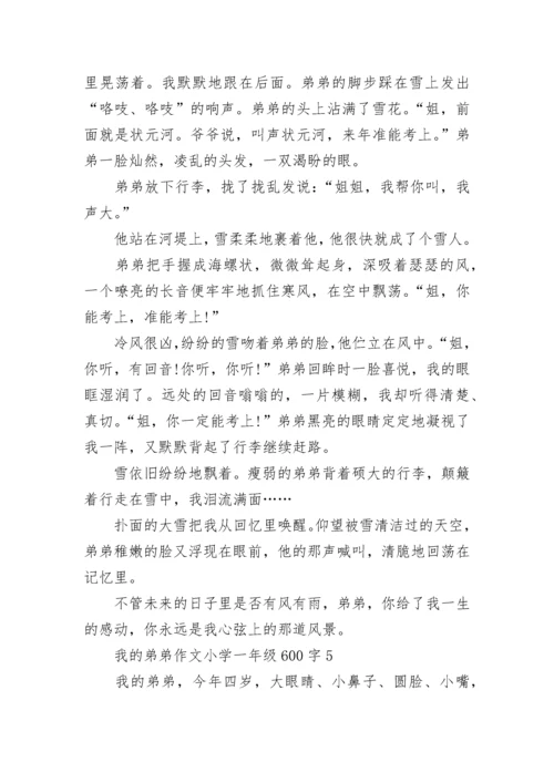 我的弟弟作文小学一年级600字.docx