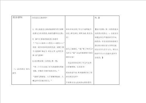 14蜜蜂教学设计