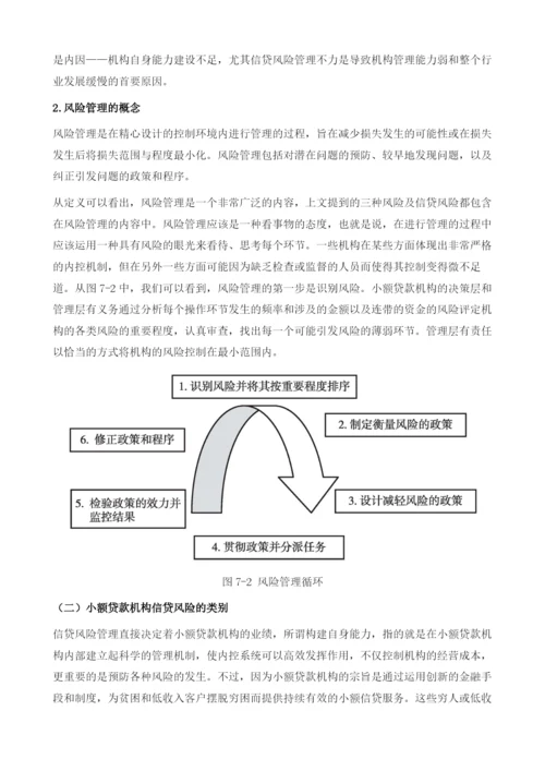 小额贷款机构的信贷风险管理-内部控制和欺诈防范.docx