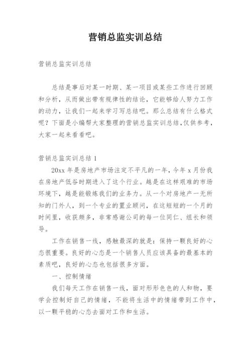 营销总监实训总结.docx