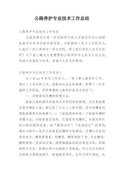 公路养护专业技术工作总结.docx