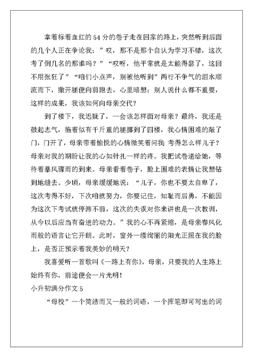 2022年小升初满分作文15篇