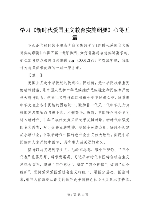 学习《新时代爱国主义教育实施纲要》心得五篇.docx