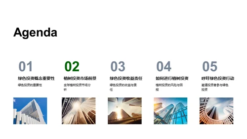 绿色投资解析