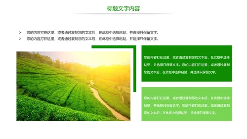 绿色唯美茶园艺术品茶文化茶园PPT模板