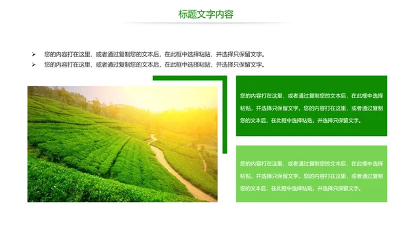 绿色唯美茶园艺术品茶文化茶园PPT模板