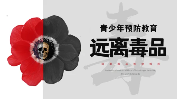 青少年禁毒宣传安全教育通用PPT模板