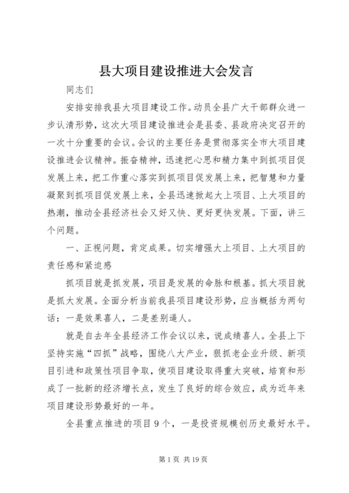 县大项目建设推进大会发言.docx