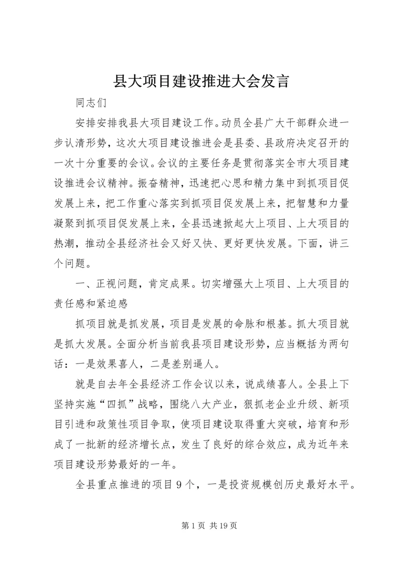 县大项目建设推进大会发言.docx