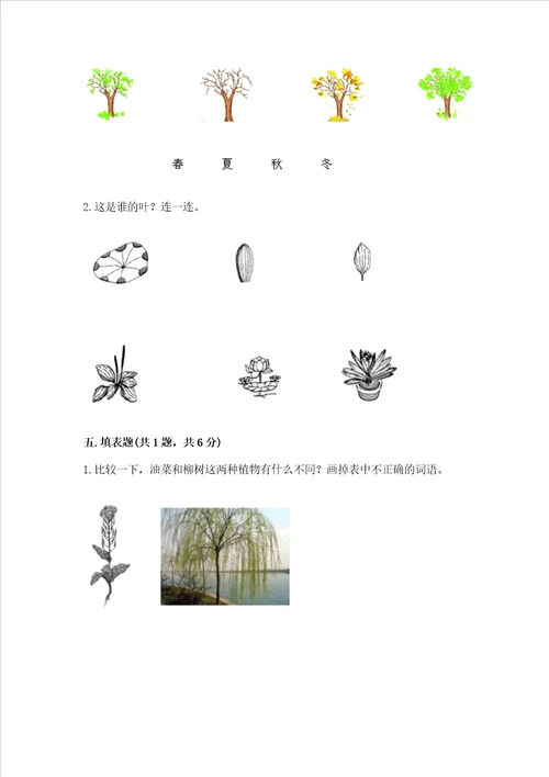 教科版科学一年级上册第一单元植物测试卷含答案突破训练