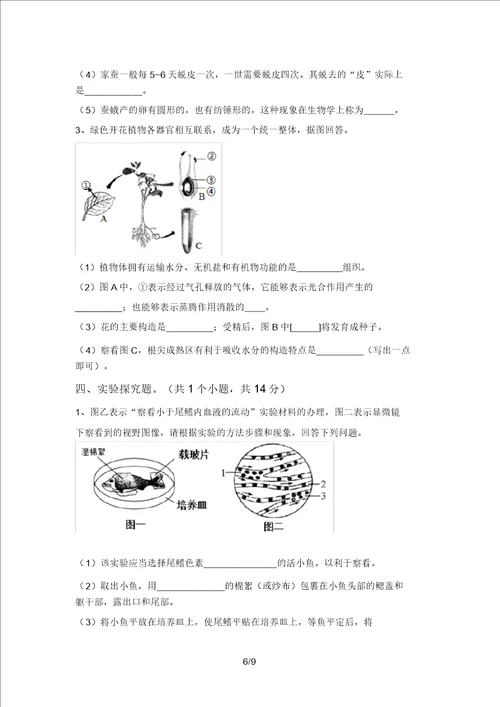 2021年北师大版九年级生物上册期末测试卷A4版