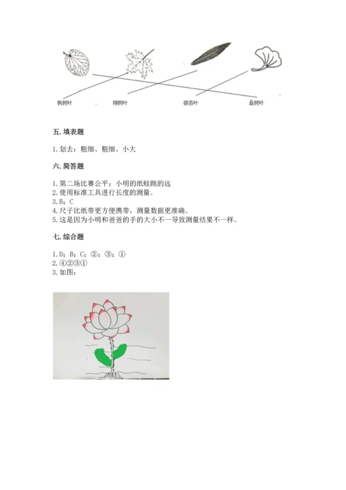 教科版一年级上册科学期末测试卷附参考答案（轻巧夺冠）.docx