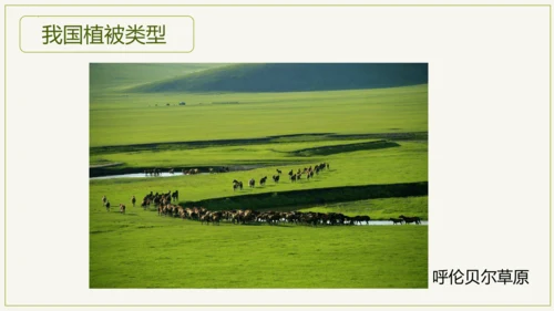 3.6 爱护植被，绿化祖国2023-2024学年七年级生物上学期同步精品课件（人教版）(共21张PP
