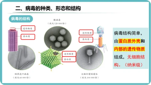 人教版生物七年级上册2.3.4《病毒》课件(共19张PPT)+视频素材