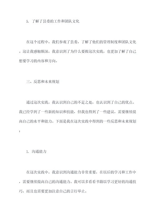 县委社会实践个人总结