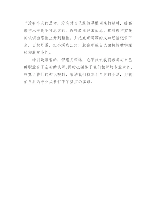 继续教育研修个人心得体会.docx