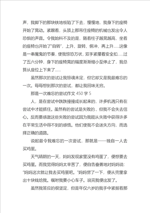 那是一次难忘的尝试作文450字