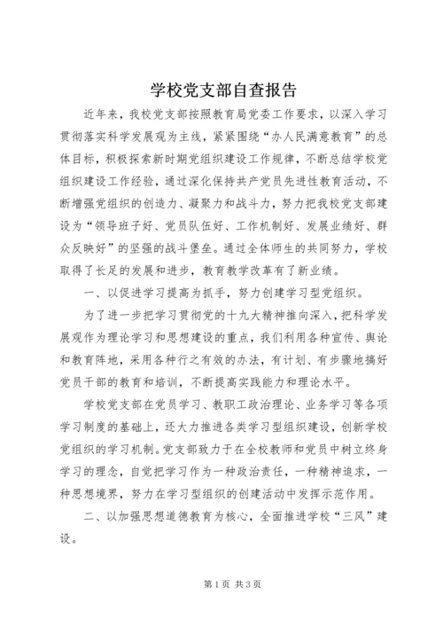 学校党支部自查报告 (2).docx