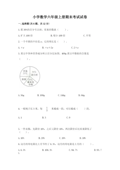 小学数学六年级上册期末考试试卷含完整答案【夺冠系列】.docx