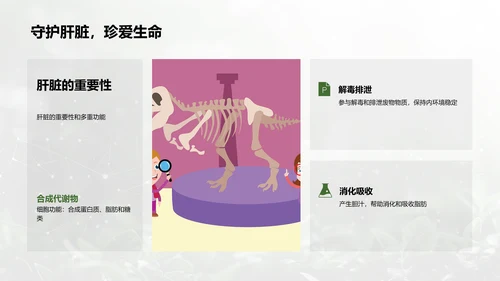 人体系统协作讲座PPT模板