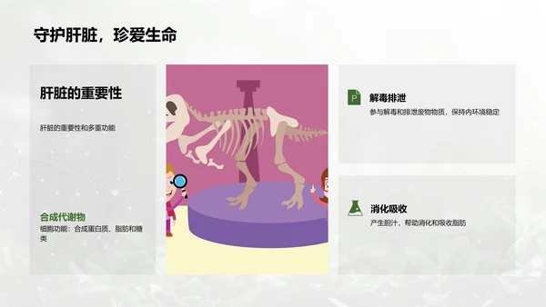人体系统协作讲座PPT模板