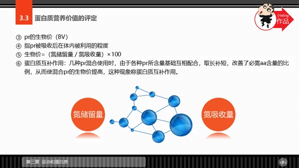 运动营养学通用PPT模板