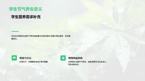 谷雨时节的健康之道