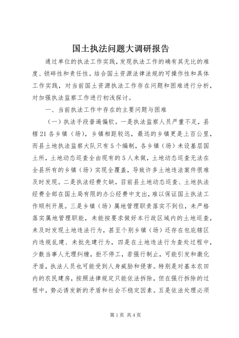 国土执法问题大调研报告.docx