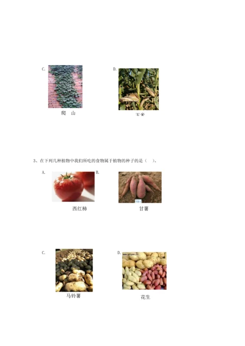 苏教版三年级科学下册单元测试题-题目.docx