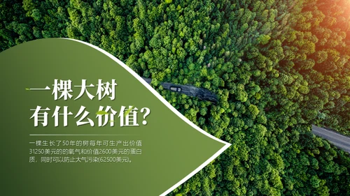 日常生活中的环保冷知识主题通用PPT模板