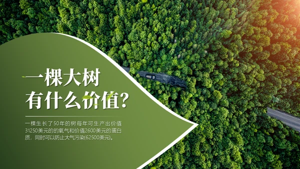 日常生活中的环保冷知识主题通用PPT模板