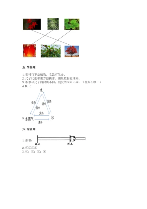 教科版一年级上册科学期末测试卷（b卷）.docx