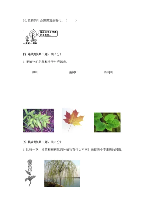 教科版一年级上册科学期末测试卷精品【达标题】.docx