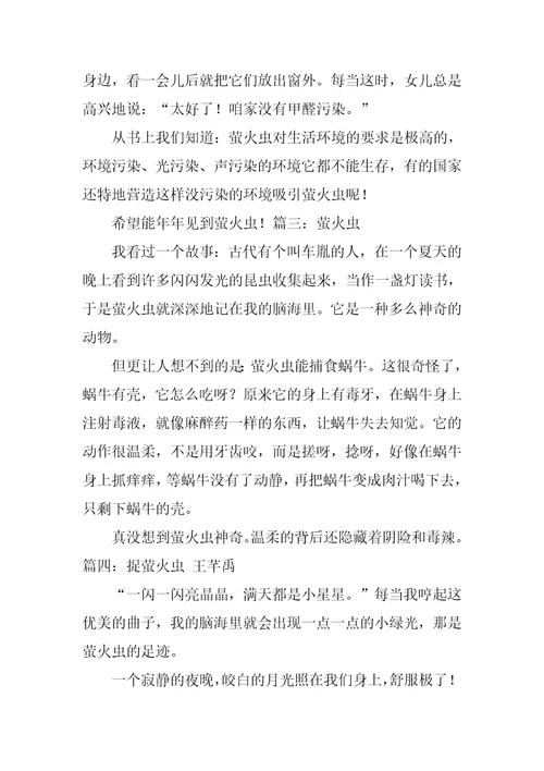写萤火虫的作文150字