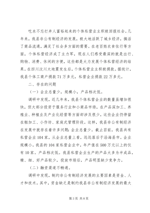县经济工作调研报告 (2).docx
