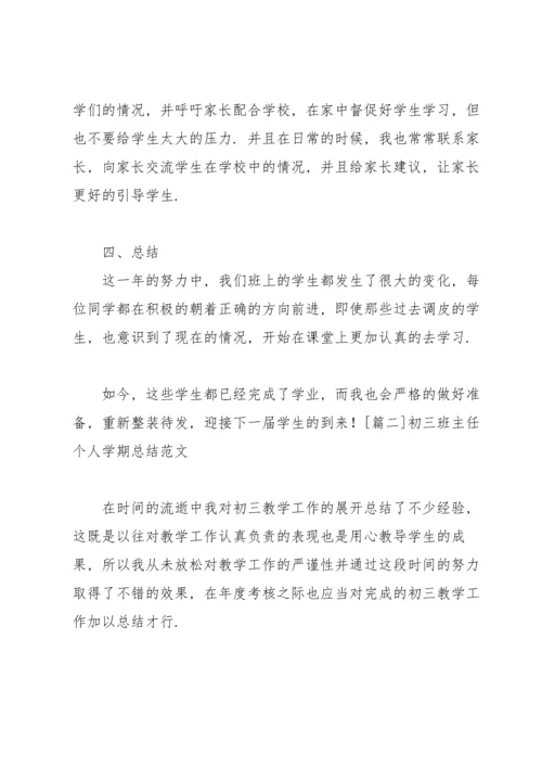 初三班主任个人学期总结范文.docx