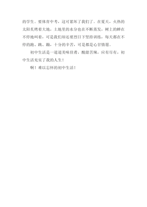 初中生活的味道作文600字.docx