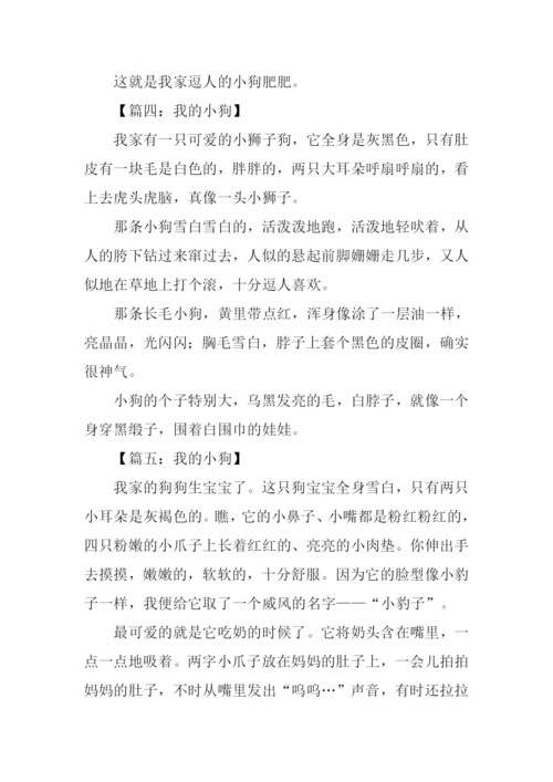 我的小狗作文250字.docx