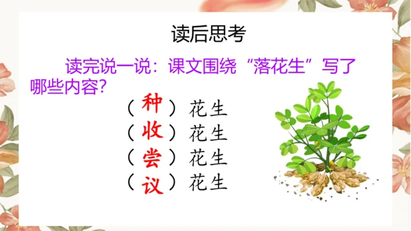 2 落花生 课件