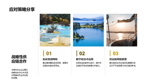农业供应链全面回顾
