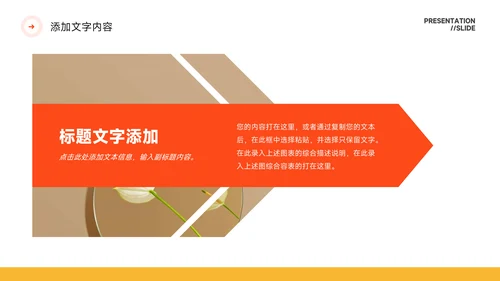 橙色简约高级感风格保险行业汇报PPT模板
