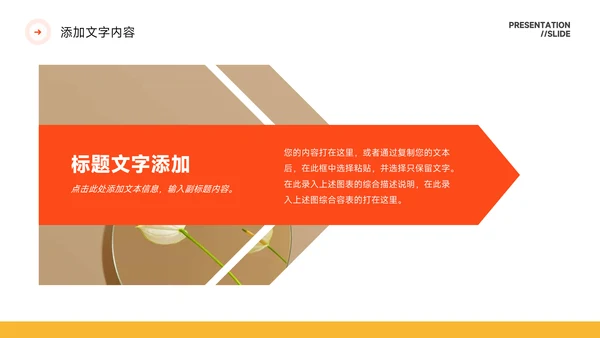 橙色简约高级感风格保险行业汇报PPT模板