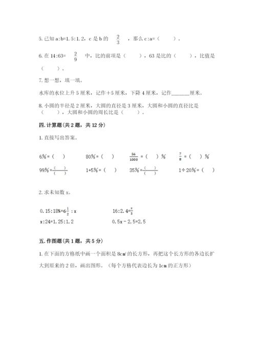 人教版六年级下册数学期末测试卷精品【典优】.docx