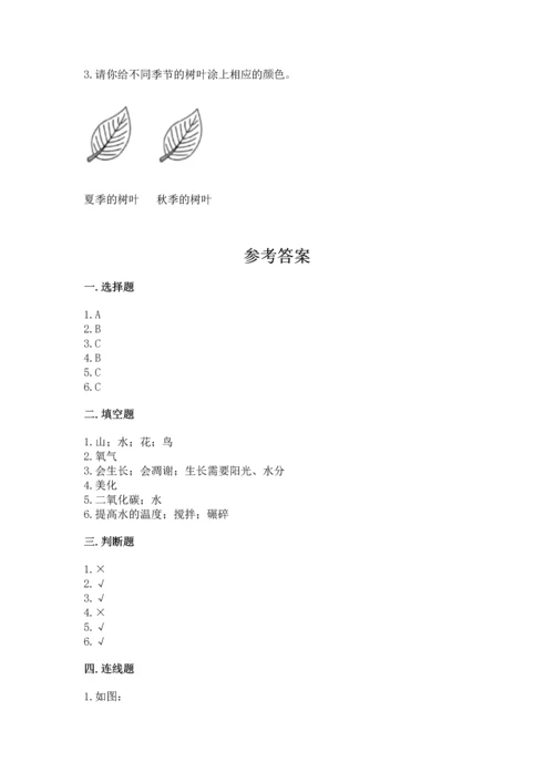 教科版科学一年级上册第一单元《植物》测试卷及答案【精品】.docx