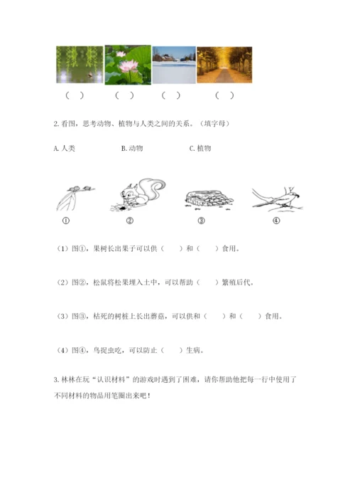 教科版二年级上册科学期末测试卷（典优）.docx
