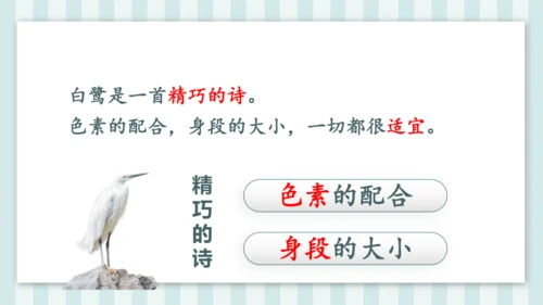 1《白鹭》课件