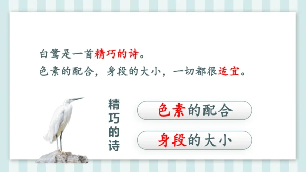 1《白鹭》课件