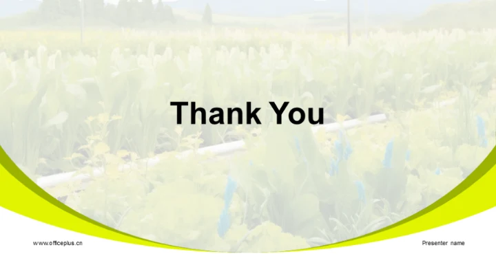 农产品市场洞察解析